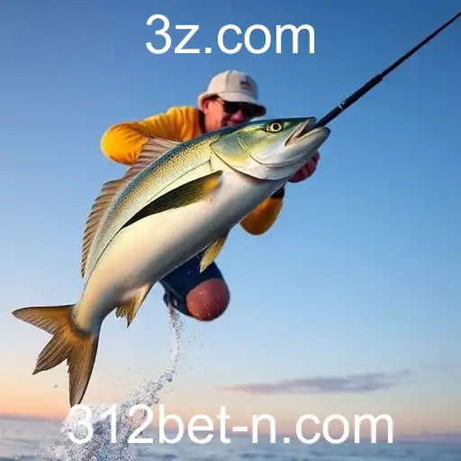 Security and Trust 312.bet - International Licenses and Certifications